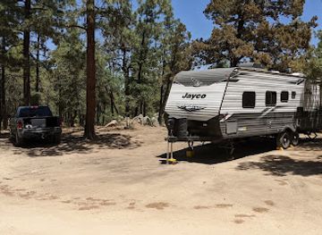 arizona/prescott-national-forest/attraction/the-big-juniper