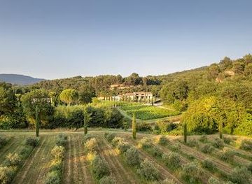 france/luberon/attraction/moulin-a-huile-d-olive-domaine-bastide-du-laval