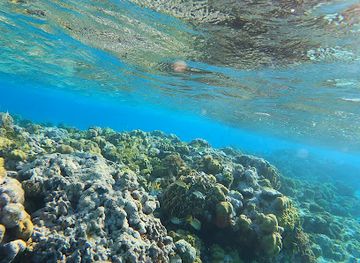 turks-and-caicos-islands/south-caicos/attraction/admiral-s-aquarium