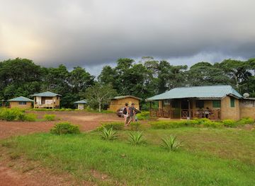 ghana/cape-three-points/attraction/ankasa-game-reserve-nini-suhien-national-park