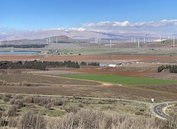 israel/golan-heights/attraction/atv-merom-golan