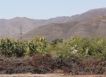 peru/nazca-lines/attraction/nazcaline3
