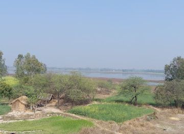 india/northern-plains/attraction/samaspur-bird-sanctuary