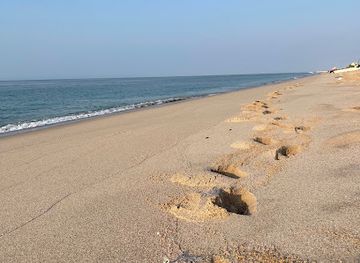 oman/ras-al-jinz/attraction/ras-al-hadd-beach