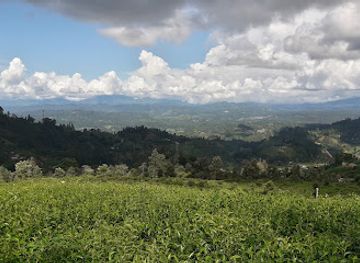 sri-lanka/nuwara-eliya-district/attraction/hakgala-ella-falls