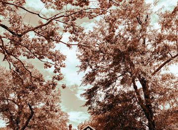 south-carolina/upstate/attraction/lunney-museum