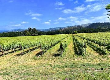 california/napa/attraction/ballentine-vineyards