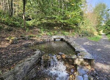 united-kingdom/cardiff/attraction/craig-gwladys-country-park