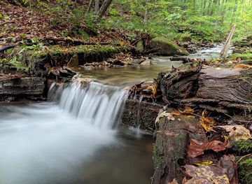 pennsylvania/allegheny-national-forest/attraction/susquehannock-state-forest