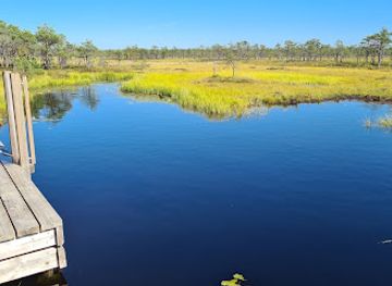 estonia/soomaa-national-park/attraction/badesee-mit-steg