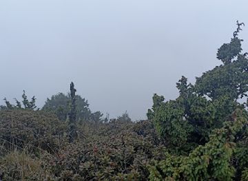 bhutan/phobjikha-valley/attraction/lamsela