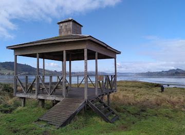 chile/chiloe-archipelago/attraction/humedal-de-putemun