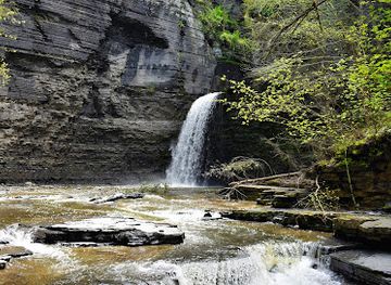new-york/watkins-glen/attraction/eagle-cliff-falls