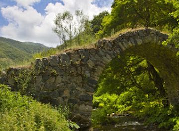 armenia/shikahogh-state-reserve/attraction/shikahogh-mountain-forest-armenia