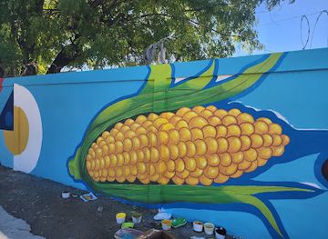 dominican-republic/san-juan-valley/attraction/paseo-de-los-colores-san-juan-de-la-maguana