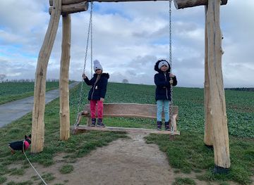germany/rhine-valley/attraction/panoramaschaukel-nastatten