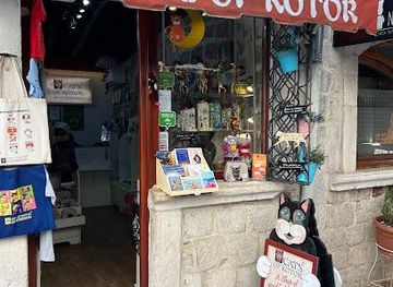 montenegro/kotor/attraction/cats-of-kotor