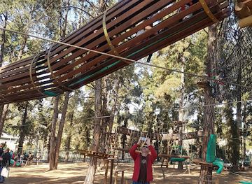 south-africa/gauteng/attraction/acrobranch-modderfontein