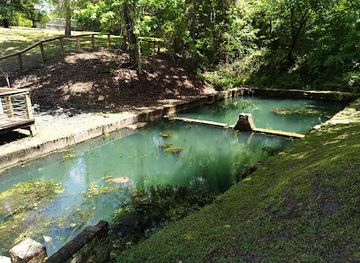 florida/gainesville-area/attraction/boulware-springs-park