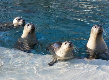 germany/ruhr/attraction/fossilium-bochum-zoo