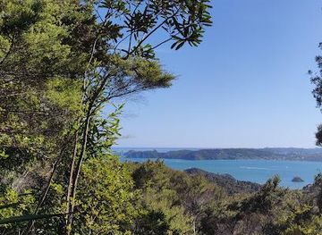 new-zealand/paihia/attraction/opua-forest-paihia-lookout-track