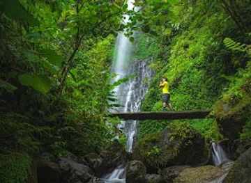 costa-rica/la-fortuna/attraction/el-tigre-waterfalls-monteverde
