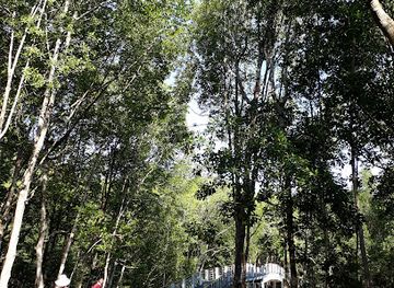 malaysia/langkawi/attraction/langkawi-nature-park