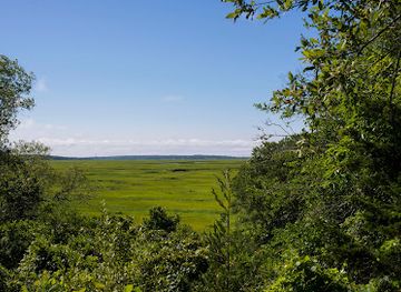 massachusetts/barnstable/attraction/mass-audubon-s-barnstable-great-marsh-wildlife-sanctuary
