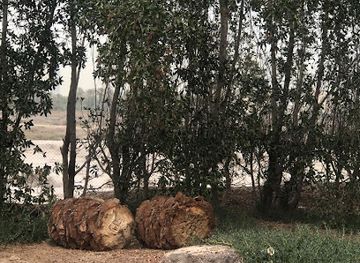 bahrain/manama/attraction/sumugan-valavu