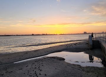 california/san-diego/pacific-beach/attraction/crown-point-beach