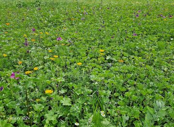 poland/bialystok/attraction/bulwary-blicharskiego