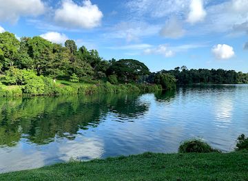 singapore/novena/attraction/macritchie-reservoir-park
