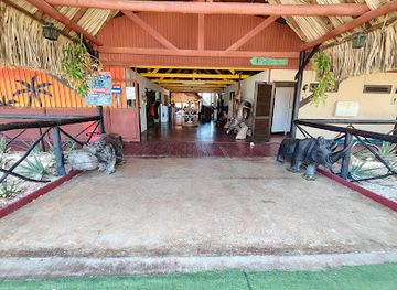 curacao/klein-curacao/attraction/curacao-ostrich-farm