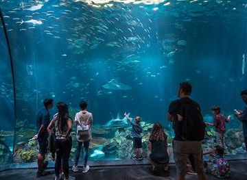 illinois/chicago/attraction/shedd-aquarium