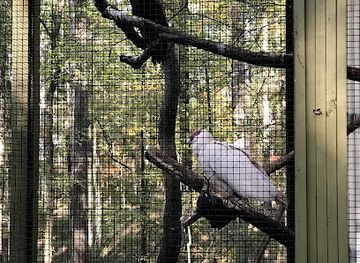 alabama/alabama-coastal-birding-trail/attraction/treetop-nature-trail-of-alabama-wildlife-center