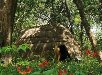 zambia/kasanka-bat-forest/attraction/livingstone-memorial-site
