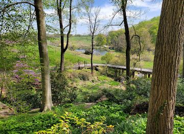 delaware/the-brandywine-valley/attraction/winterthur-enchanted-woods