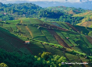 indonesia/west-java/attraction/terasering-panyaweuyan