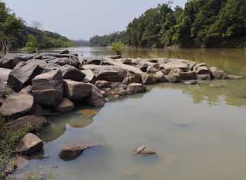 cote-d-ivoire/goh-djiboua/attraction/comoe-national-park