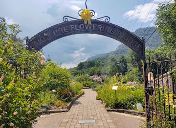 south-carolina/blue-ridge-mountains/attraction/lake-lure-flowering-bridge