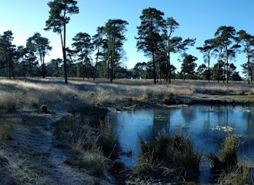 netherlands/hoge-veluwe-national-park/attraction/deelerwoud