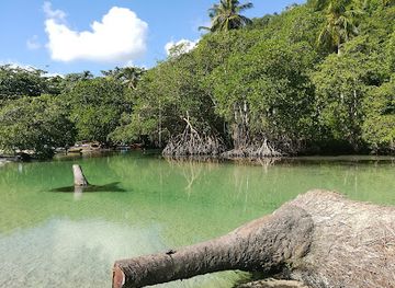 dominican-republic/samana-peninsula/attraction/playa-rincon