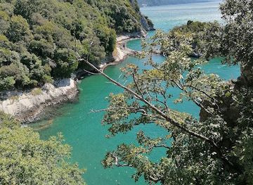 italy/friuli-venezia-giulia/attraction/grotta-gigante
