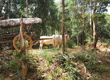 sri-lanka/minneriya-national-park/attraction/chaise-boat-village