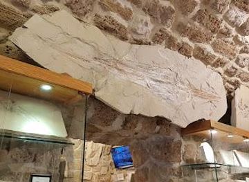 lebanon/batroun/attraction/memory-of-time