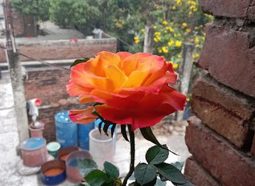 bangladesh/rajshahi/attraction/dashpukur-more