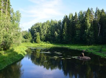 estonia/lahemaa/attraction/ojaaarse-matkarada