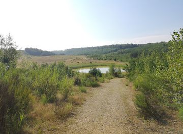 belgium/hoge-kempen-national-park/attraction/voormalige-grindgroeve-mechelse-heide-noord