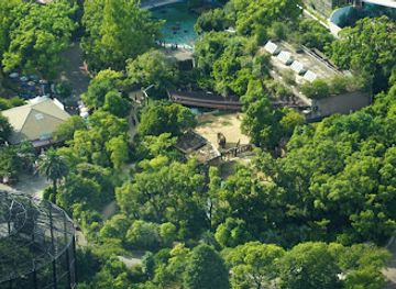 japan/oki/attraction/harukas-300-observatory