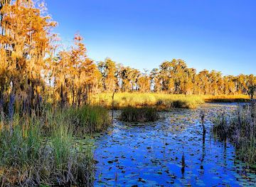 florida/orlando/attraction/tibet-butler-nature-preserve